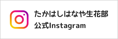 たかはしはなやインスタグラム